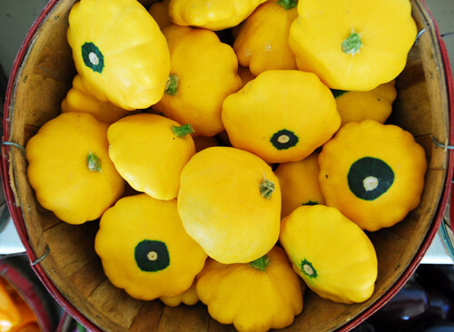 Hạt giống Bí đĩa bay vàng