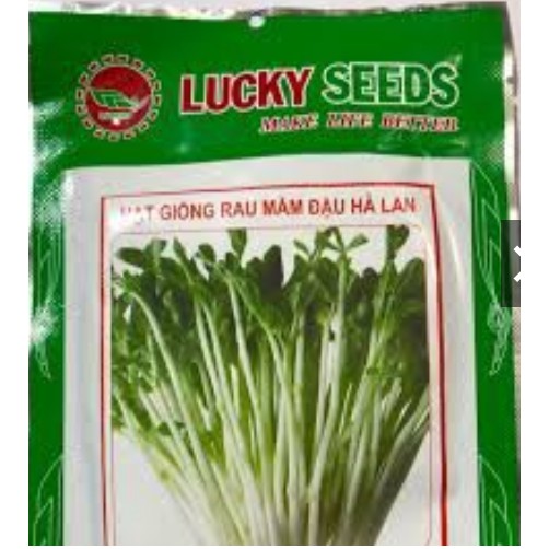 Hạt giống rau mầm đậu hà lan gói 50 gram
