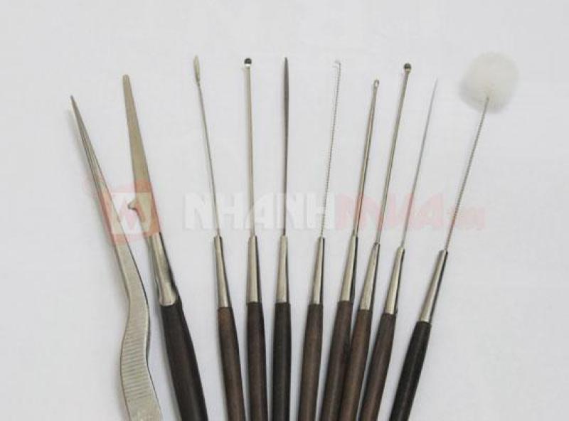 Bộ dụng cụ lấy ráy tai inox chuyên nghiệp 10 món