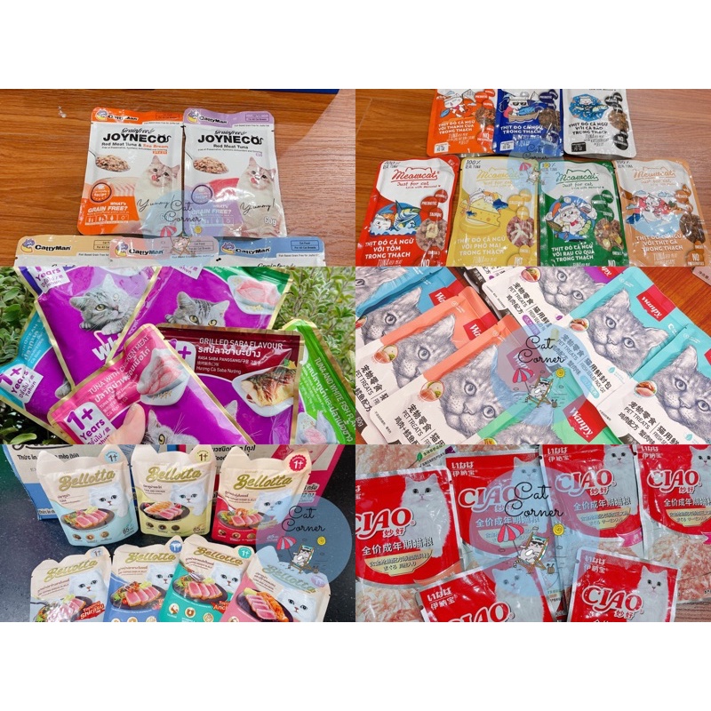 Combo 12 Gói Pate Nhiều Hãng ( Wanpy , Whiskas , Bellotta , Ciao , Snappy Tom)