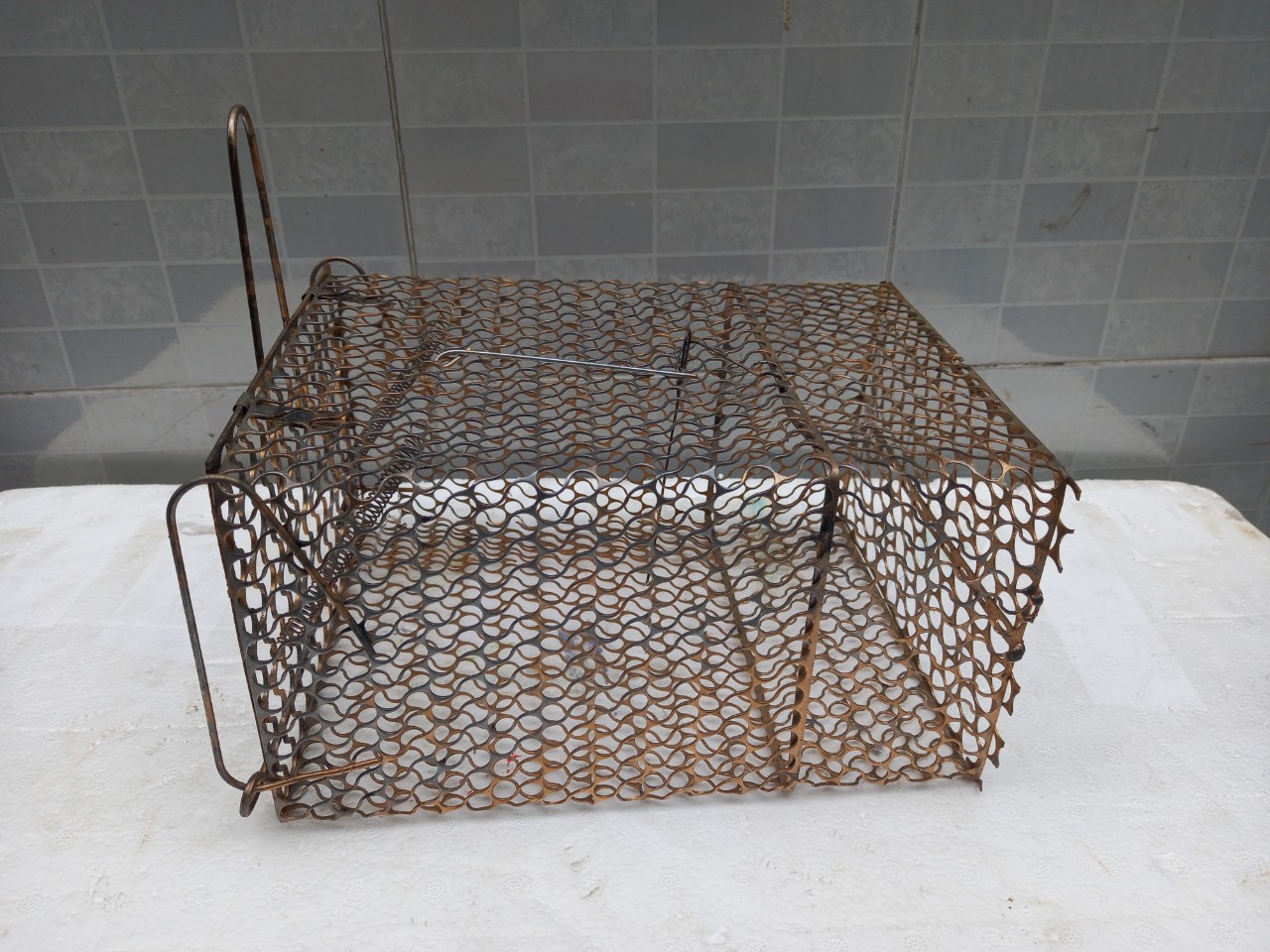 Lồng bẫy chuột thông minh có chốt chặn loại trung (25cm)