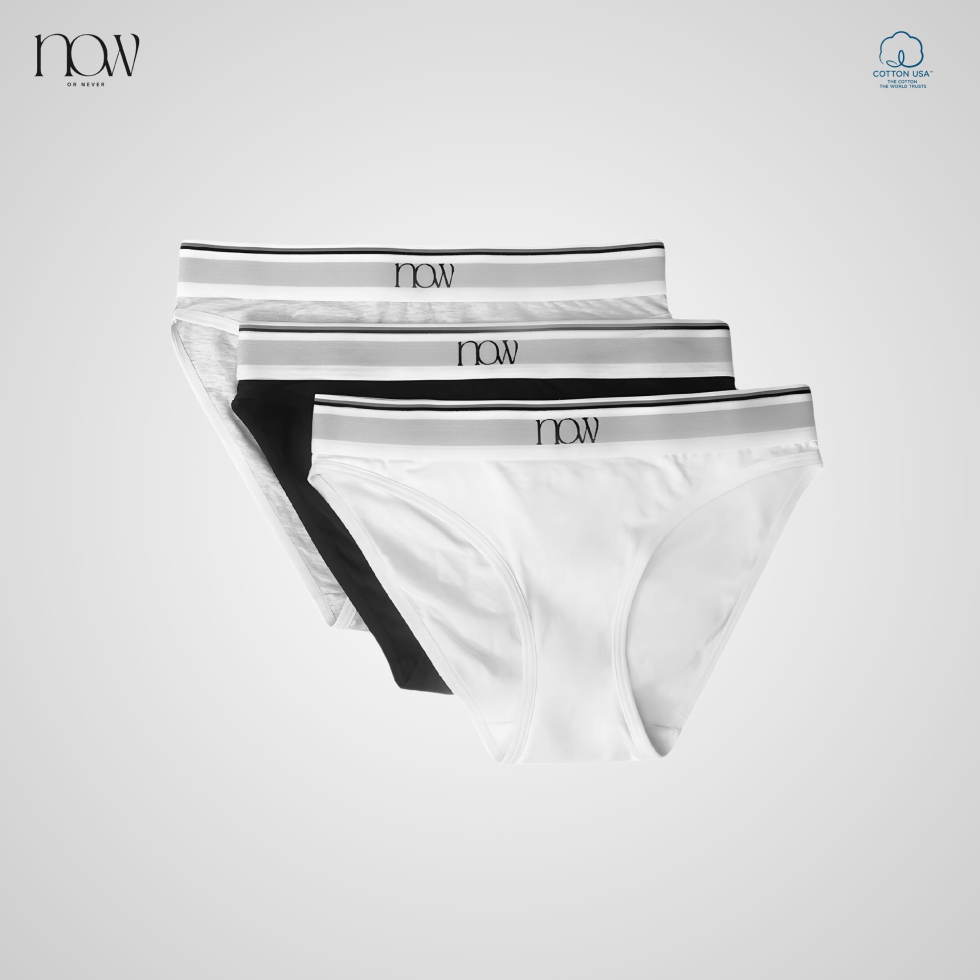 Combo 3 quần lót nữ bikini cotton usa - now wear