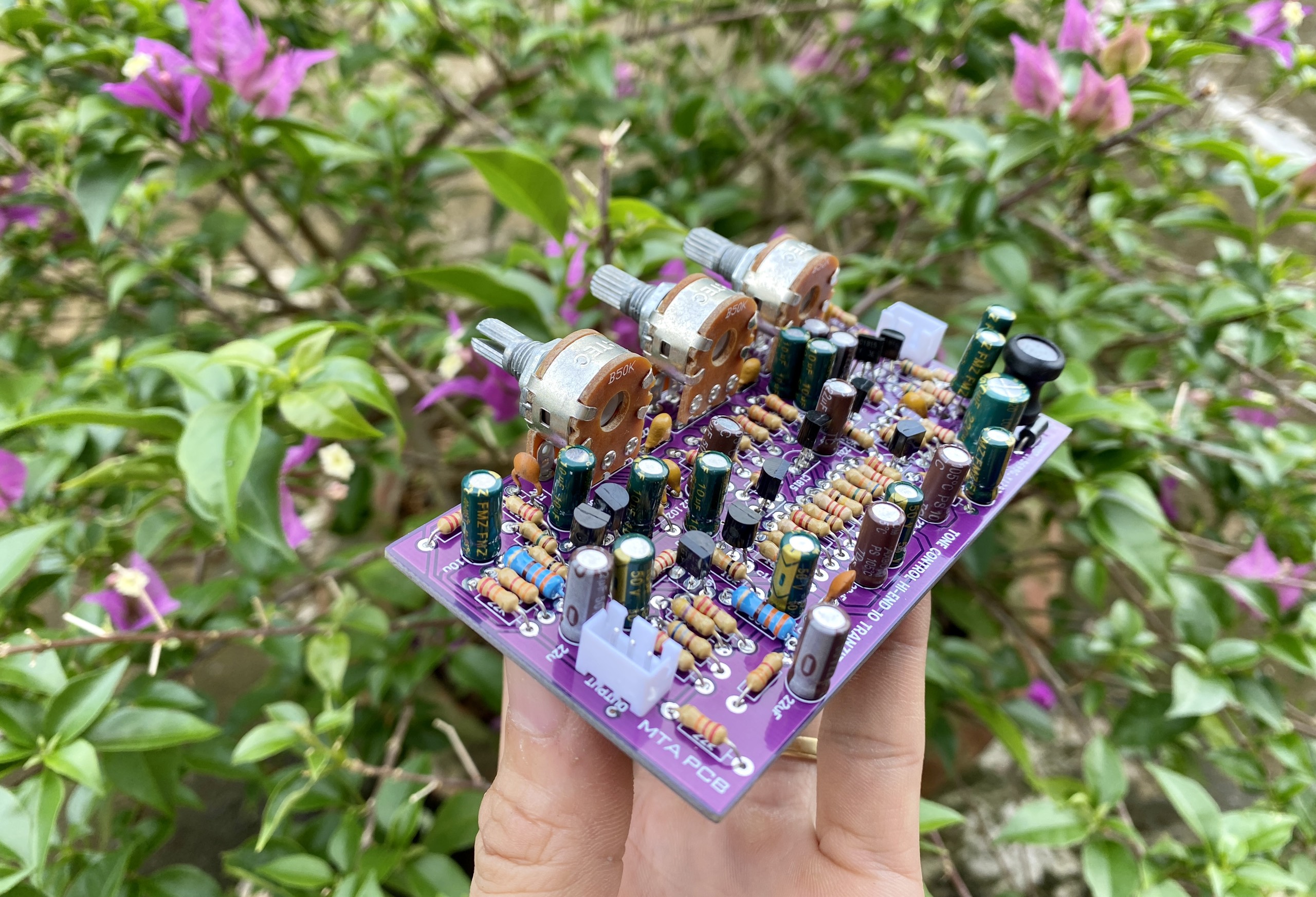 Mạch âm sắc Hi-end 12V 2 kênh