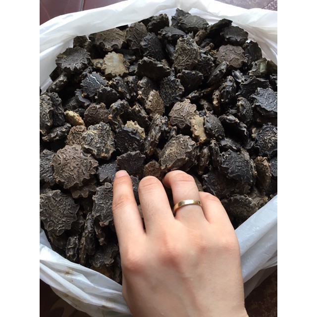1kg Hạt Gấc Khô (Mộc miết tử) loại tốt