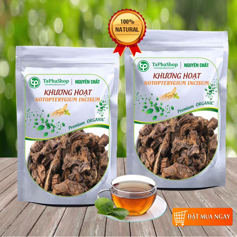 Khương hoạt khô 100g - tấn phát