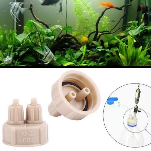 Nắp chế Co2- Nắp chế bình Co2 cho bể thủy sinh cá cảnh-Dụng cụ chế bình co2 sử dụng cho cây thủy sinh