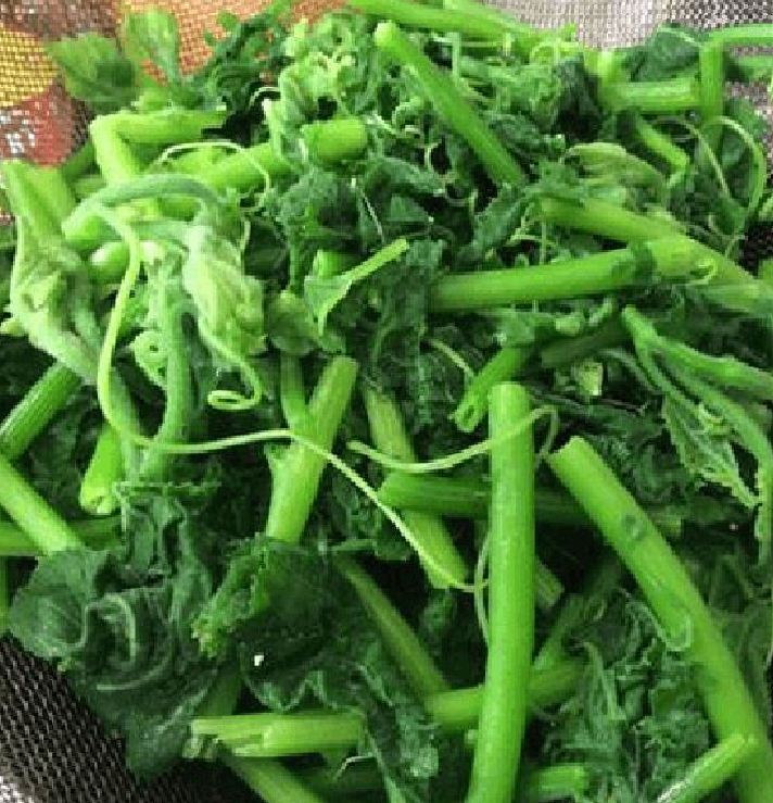 Hạt giống Bí Ngọn Siêu Mập Cao Sản 10gr/gói