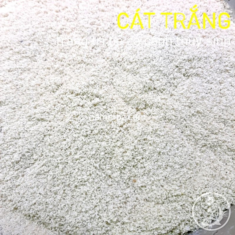 1KG Cát Trắng Thạch Anh - Cát Trải Nền, Trang Trí Bể Cá Cảnh Thuỷ Sinh