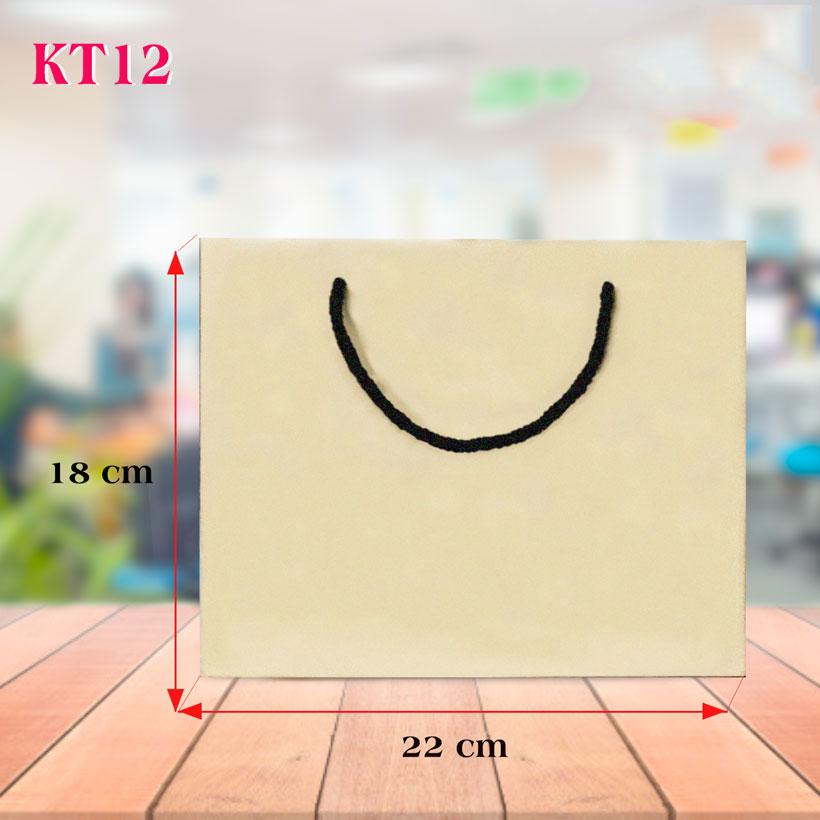 Combo 100 túi giấy trơn kt12