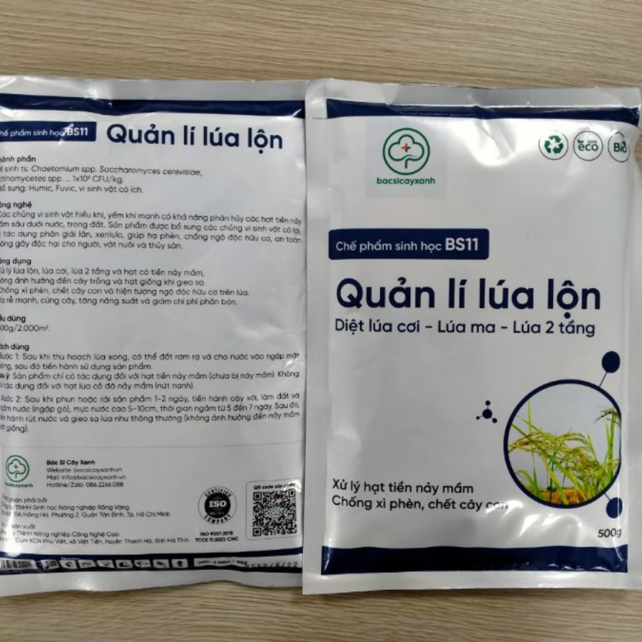 Chế phẩm sinh học BS11 xử lý lúa lộn, lúa cơi, lúa ma, lúa 2 tầng, chống xì phèn, chết cây con - Gói 500g