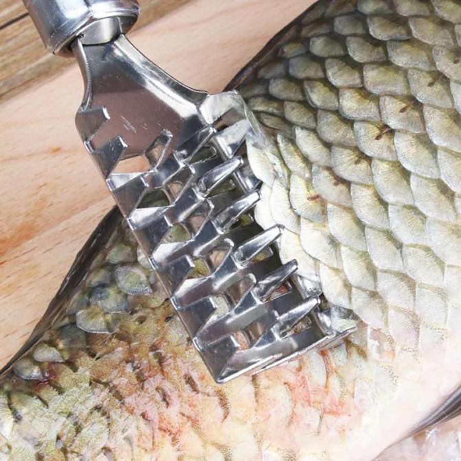 Dao đánh vảy cá - nạo dừa