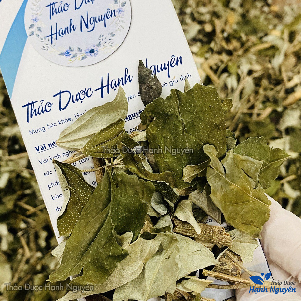 Lá khổ sâm 1kg, khô, sạch, hỗ trợ giảm đau dạ dày, đại tràng, khó tiêu, đầy hơi, tốt cho tiêu hóa