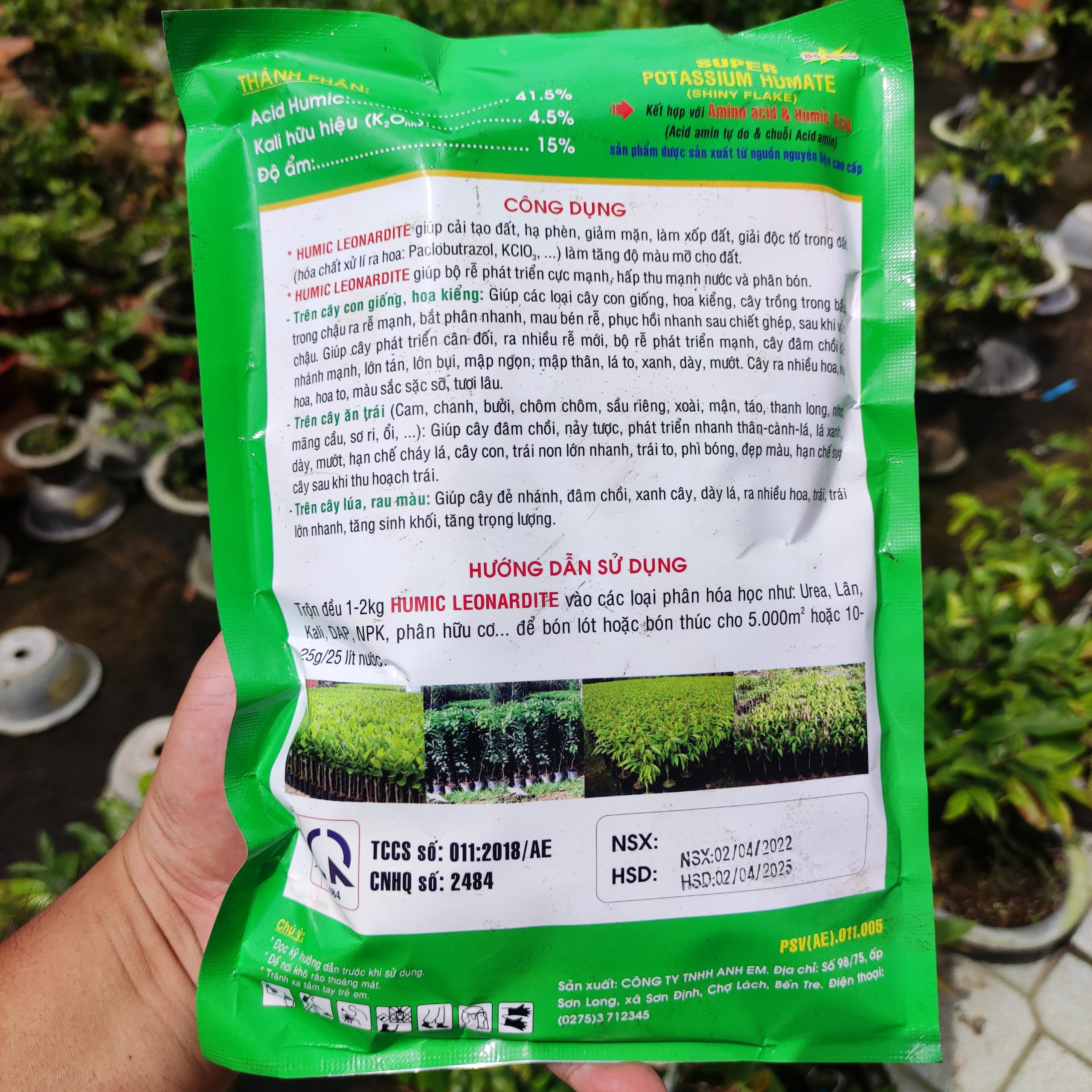 sâm đất humic con heo cho cây mai vàng