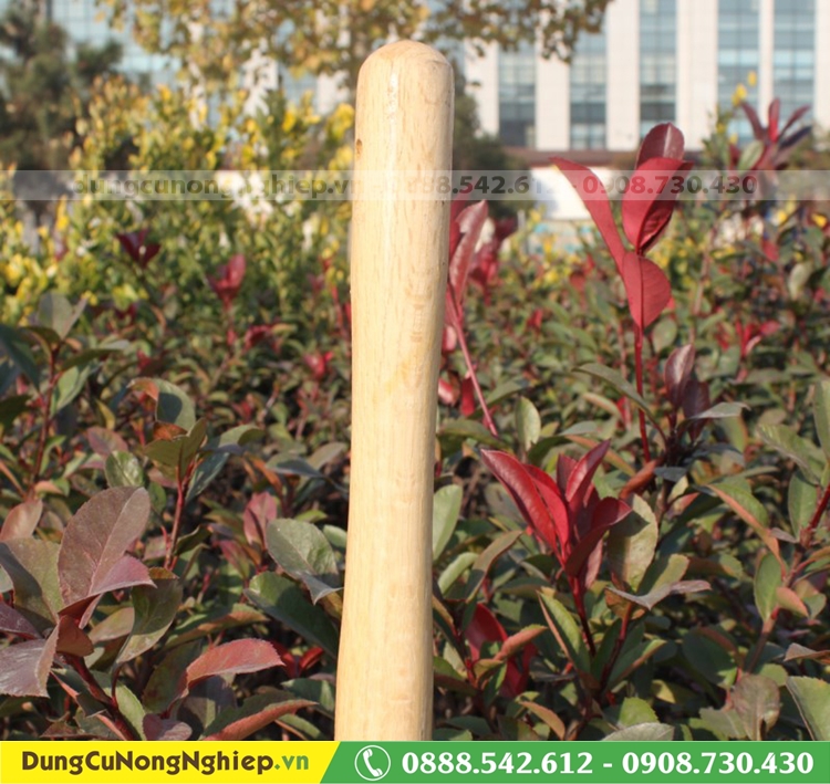 Xẻng cắm trại cán gỗ lưỡi xanh 63cm