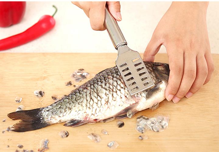 Dụng cụ đánh vẩy cá Inox
