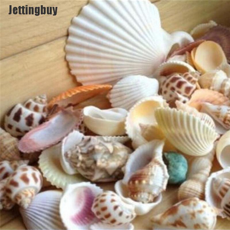100g Beach Mixed SeaShells Sea Shells Shell Craft SeaShells Aquarium Decor Random