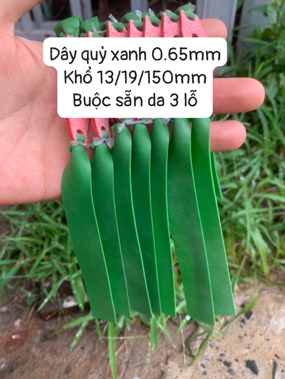 DÂY THUN QUỶ XANH BUỘC SẴN