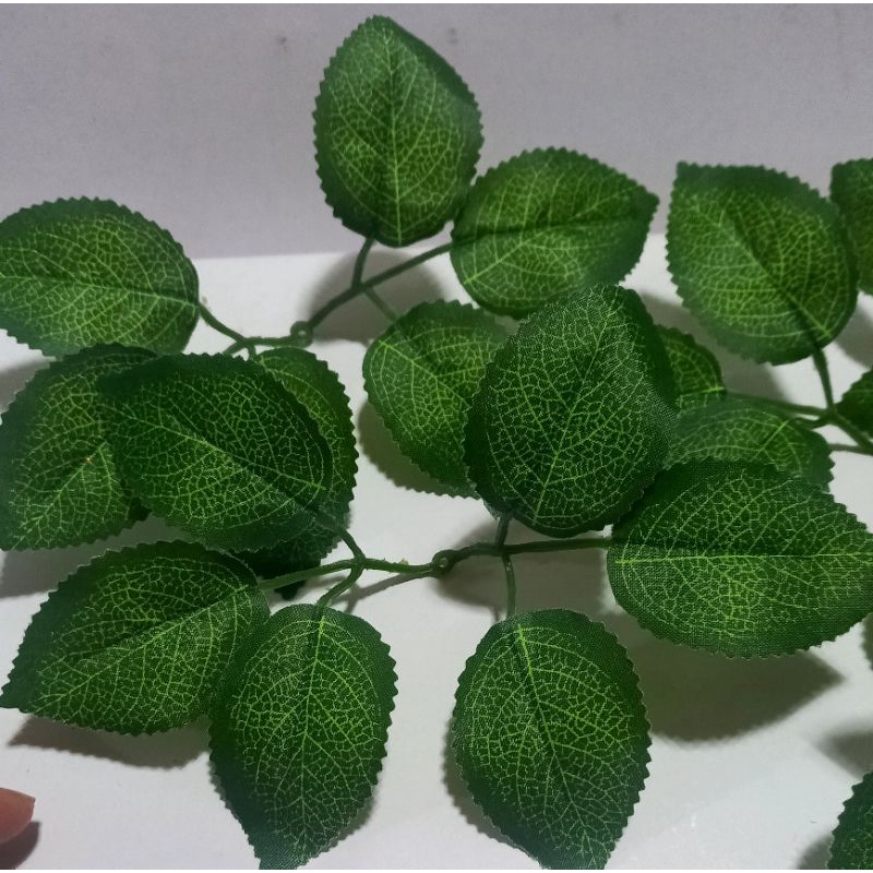 100g Lá hoa hồng vân