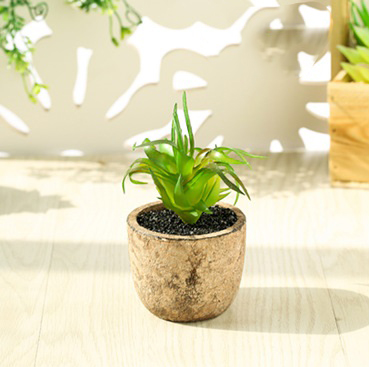 Cây giả - Chậu Sen đá Xơ dừa (cả cây và chậu)