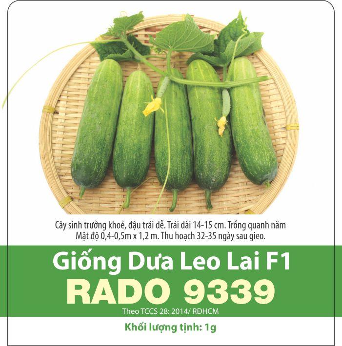 Hạt giống dưa leo dễ trồng giòn ngọt