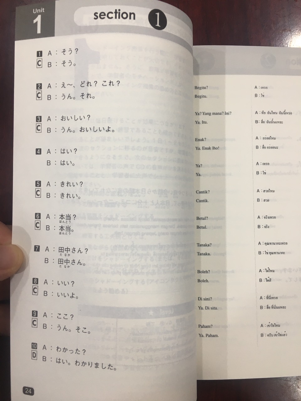 Sách Tiếng Nhật - Shadowing Sơ Trung Cấp – Bản Nhật Việt (Kèm CD)