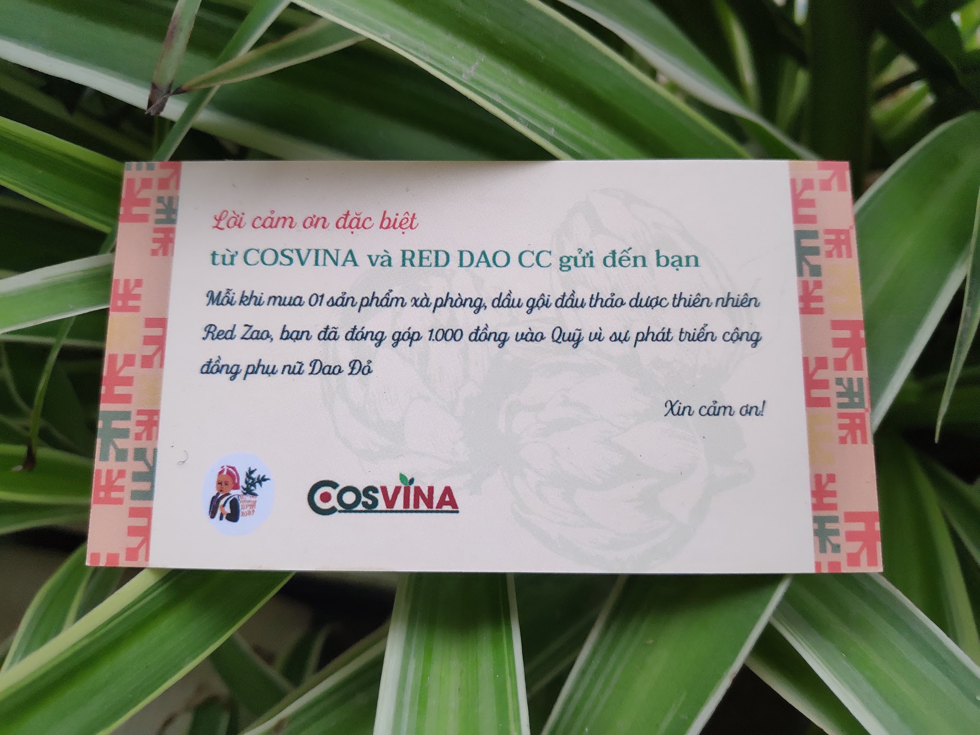 Dầu gội thảo dược Dao Đỏ - Sapa