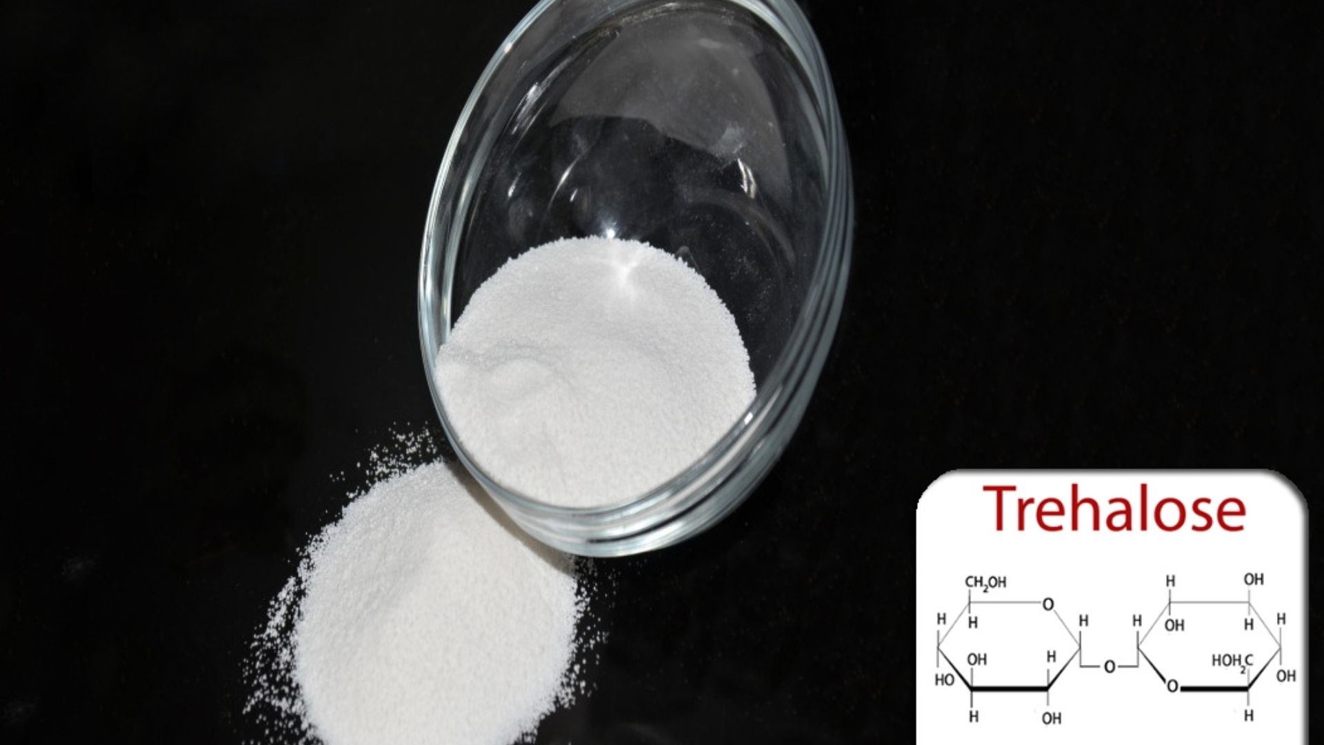 Đường Trehalose (đường tảo)