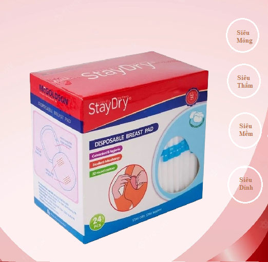 [HCM]Miếng lót thấm sữa StayDry (24 miếng/hộp)