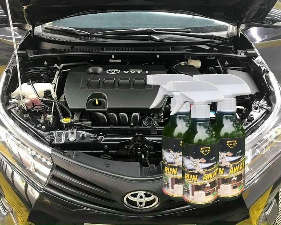 Lọ xịt chuột, xịt đuổi chuột, gián an toàn