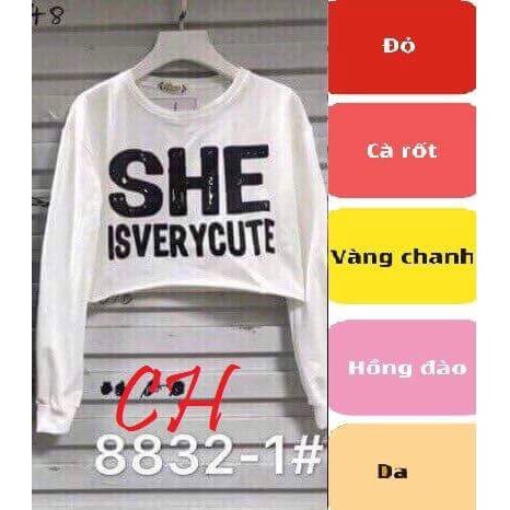Áo crotop chữ dài tay ch2108