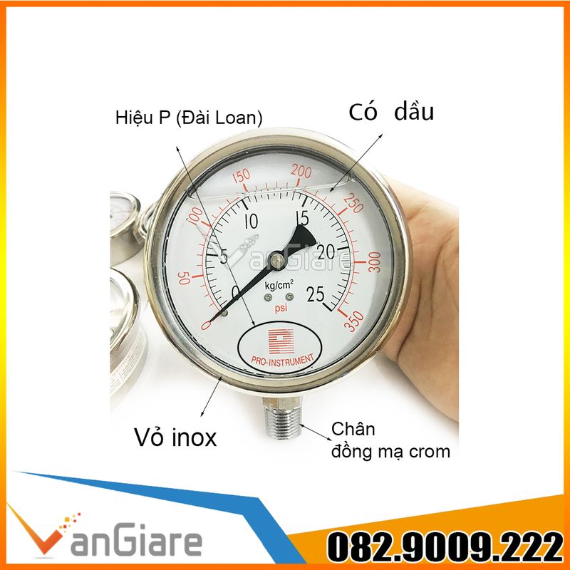 Đồng hồ đo áp suất Pro Instrument mặt 63mm (Đủ size)