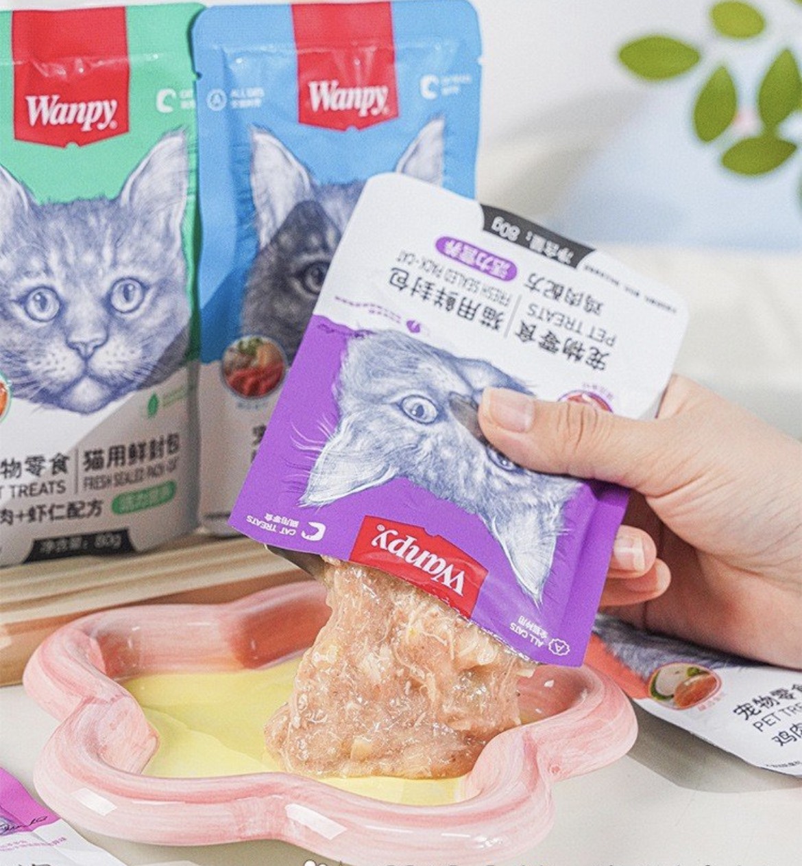 COMBO 10 GÓI PATE WANPY CHO MÈO 80GR