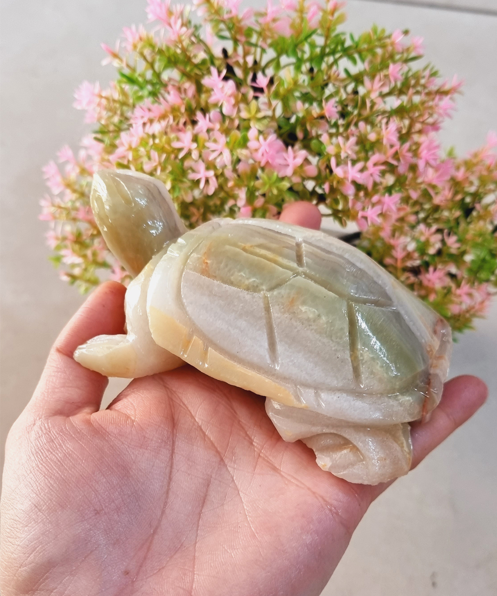 [HCM](Chọn màu) Cụ Rùa bằng đá tự nhiên size 12cm