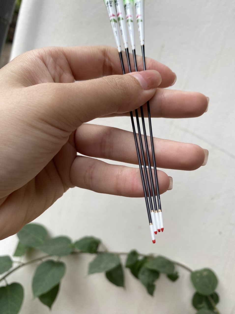 Phao Câu Ngày Đêm AYY Rô Diếc Chép