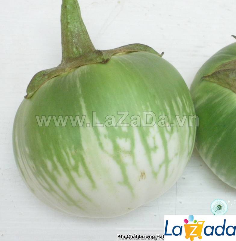 0.2Gr Hạt Giống Cà Dĩa Da Ếch (B1.101| C28)