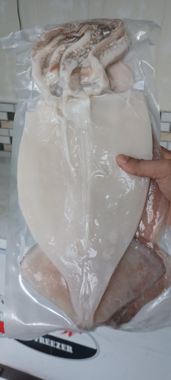 [Chỉ Giao HCM] Mực 1 Nắng (1kg đủ)