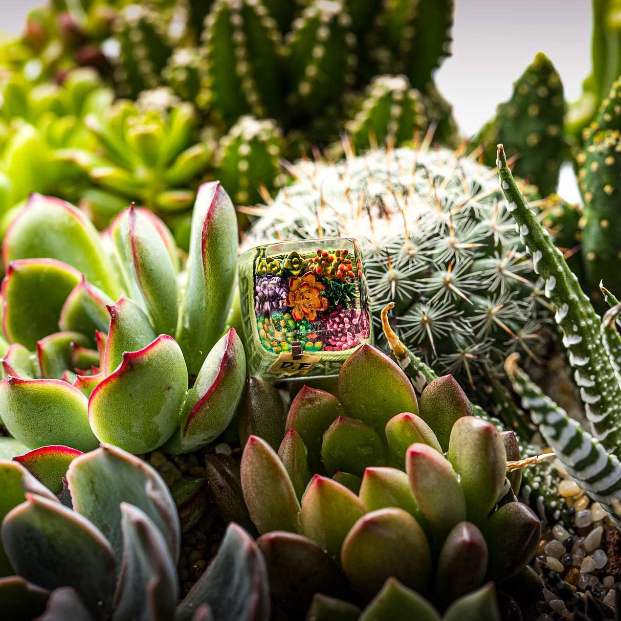 Keycap Artisan bàn phím cơ Dwarf Factory TERRARIUM - Hàng chính hãng