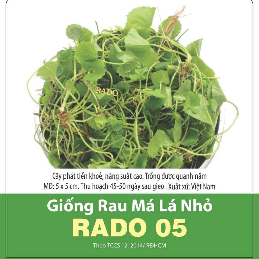 Hạt giống rau má lá nhỏ rado 05 rạng đông | vtnn cần thơ