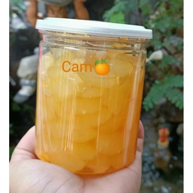 Thốt nốt tươi  dẻo nhiều vị Thái Lan 500gr