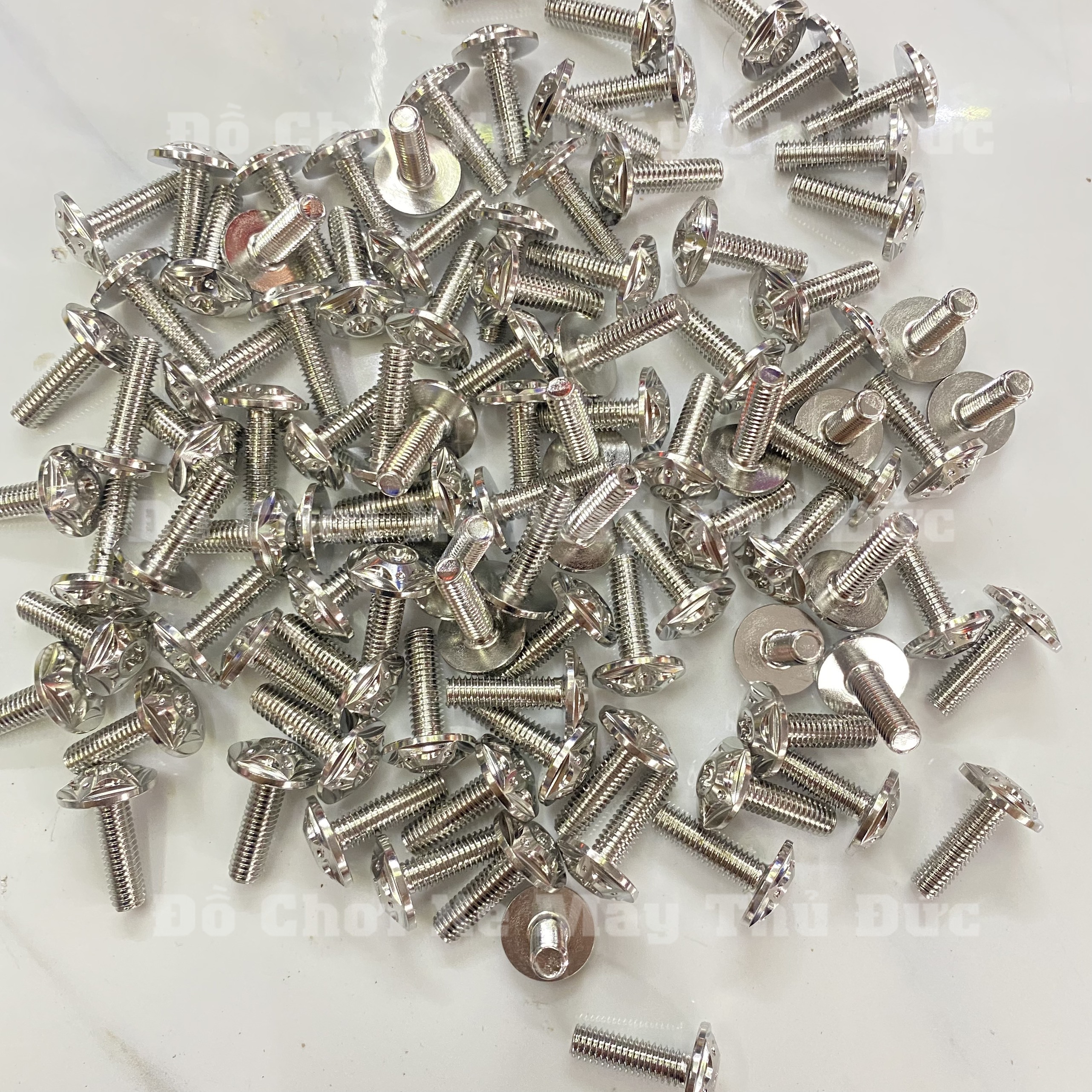Ốc Salaya 6li 20 Gắn Dàn áo, Dè
