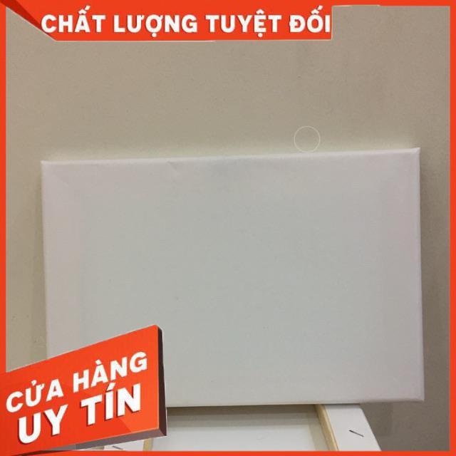 Combo 10 chiếc Toan tranh 20x30