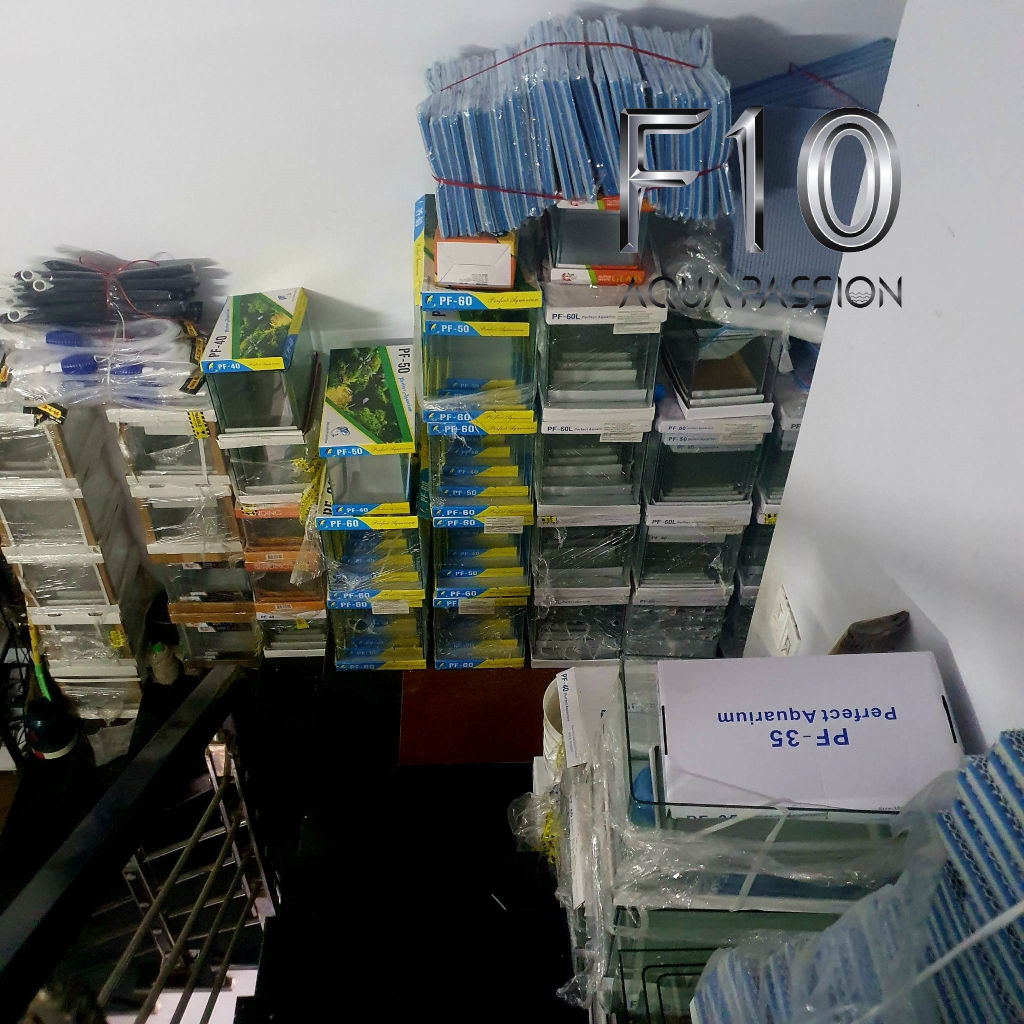 Bể siêu trong cubic 25 - kính siêu trong siêu đẹp