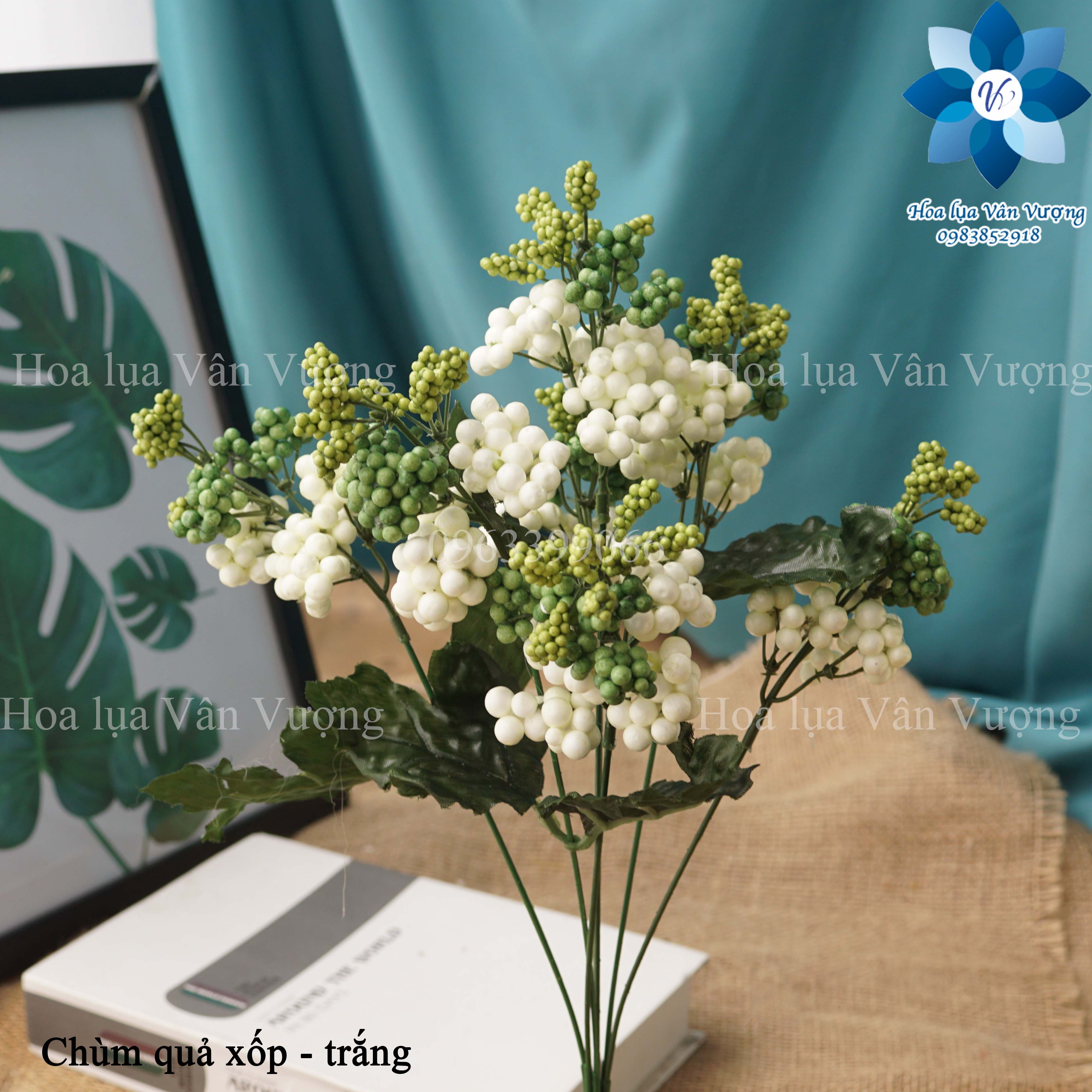 Hoa Giả, Chùm Quả Xốp Điểm