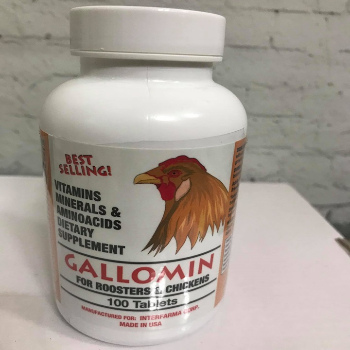 [HCM]Galomin Giúp Gà Tăng Po Nở Cơ - Hủ 100 Viên