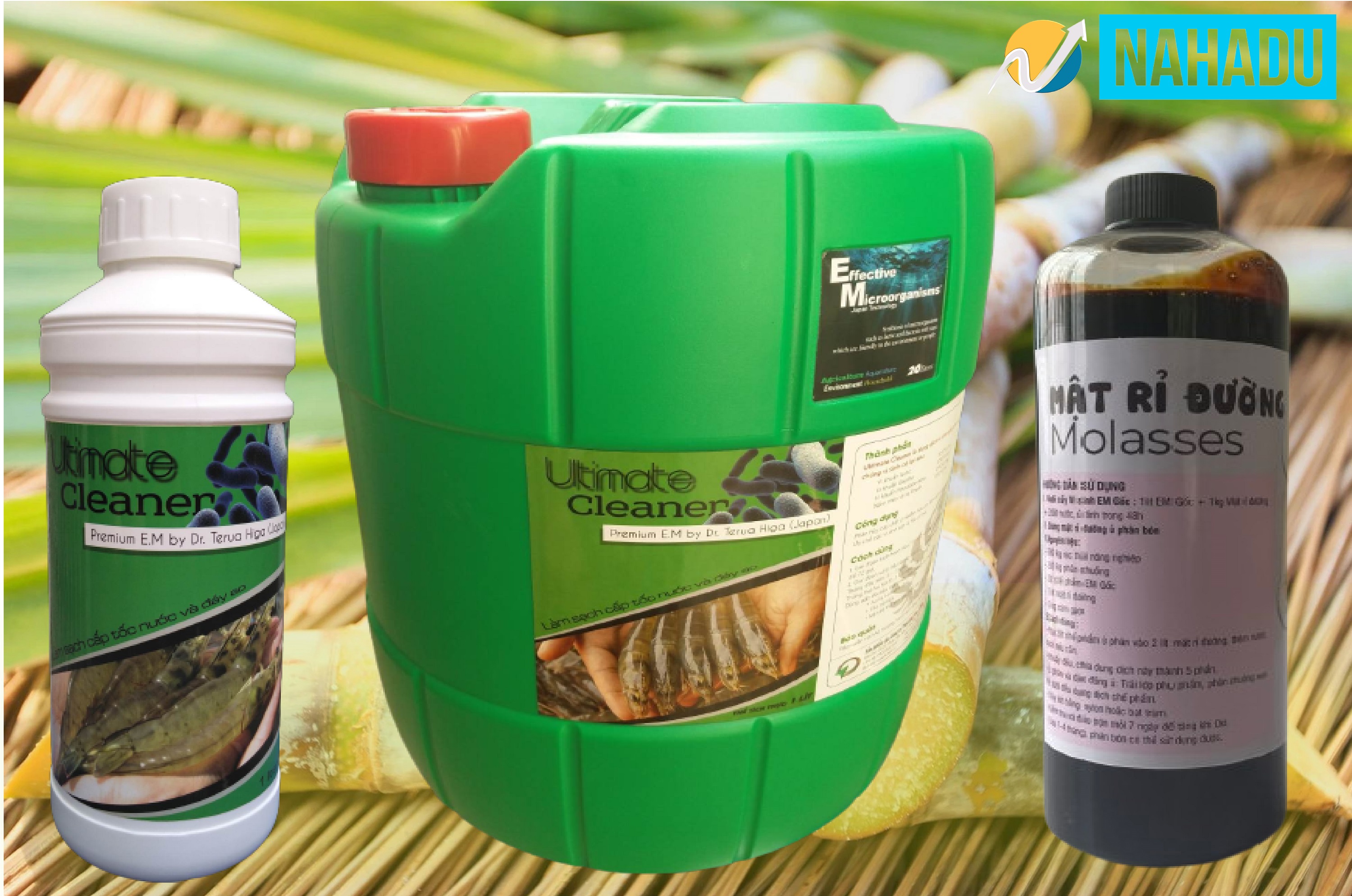 CHẾ PHẨM SINH HỌC EM GỐC