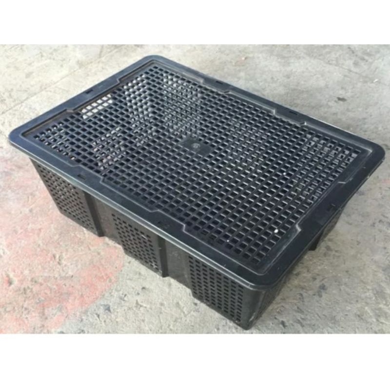 rỗ trái cây có nắp