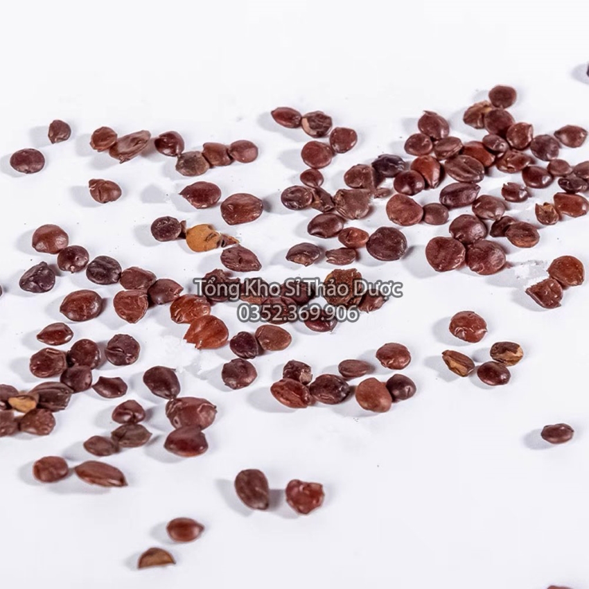 Táo Nhân 100g (Đã Sao Thơm)