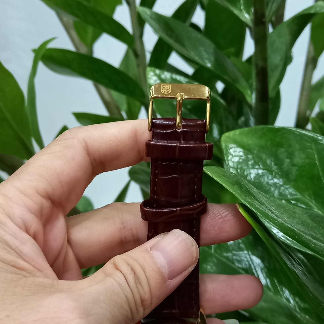 Đồng hồ nam - Frederique Constant - Máy cơ cao cấp