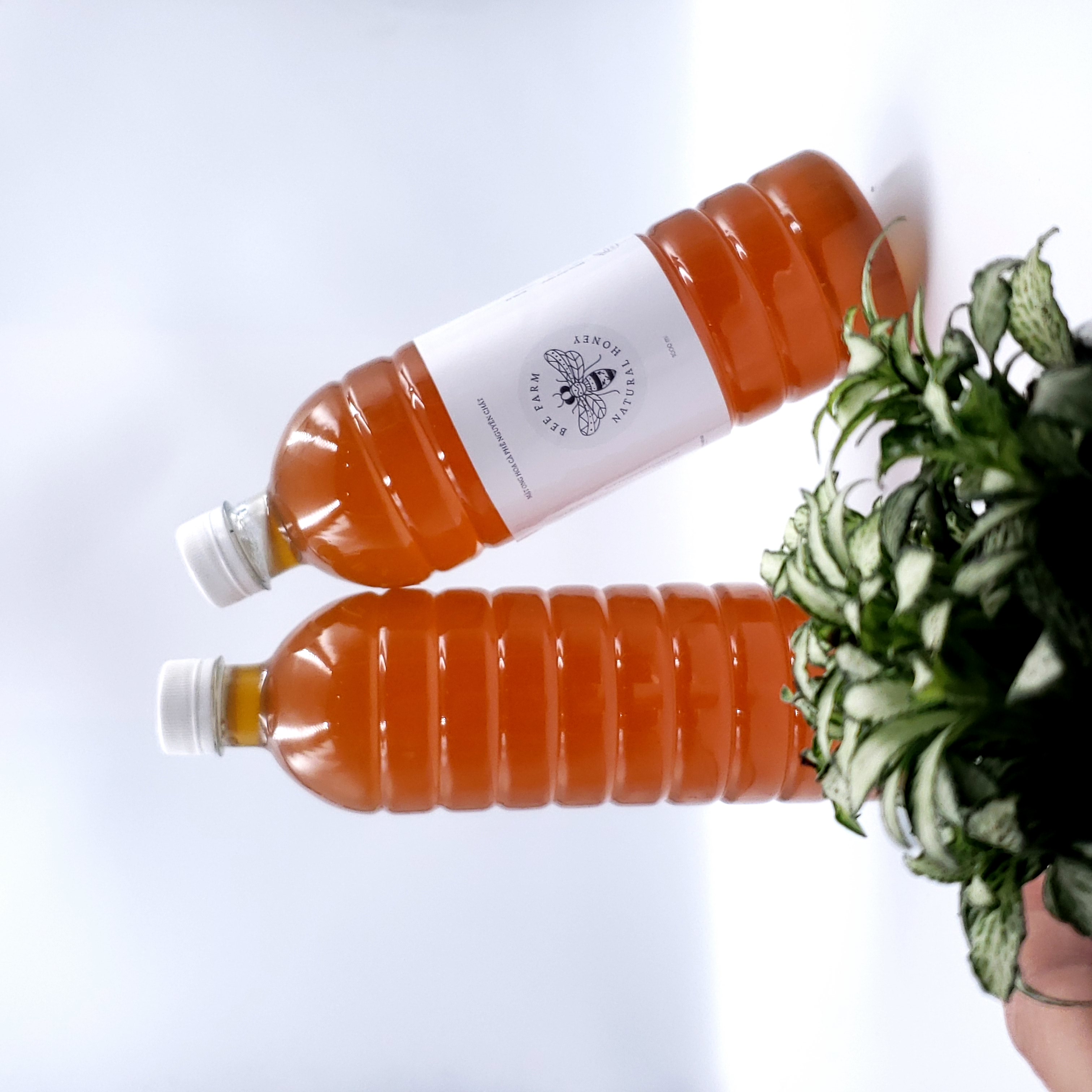 Mật ong hoa cà phê nguyên chất chai 1L
