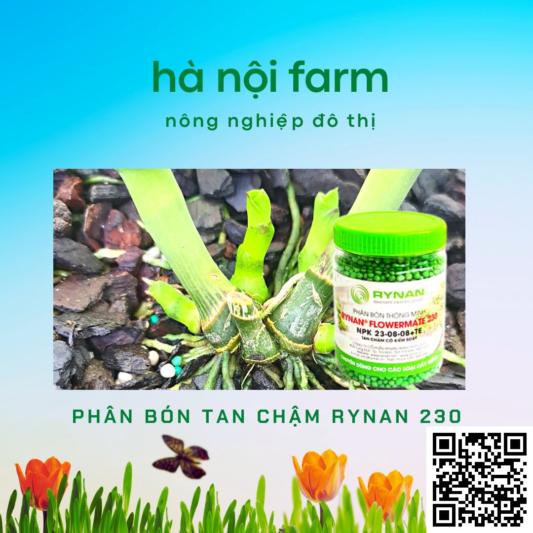 phân bón thông minh, tan chậm rynan 230. hũ 150g